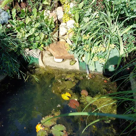 Apartamento Heil - *